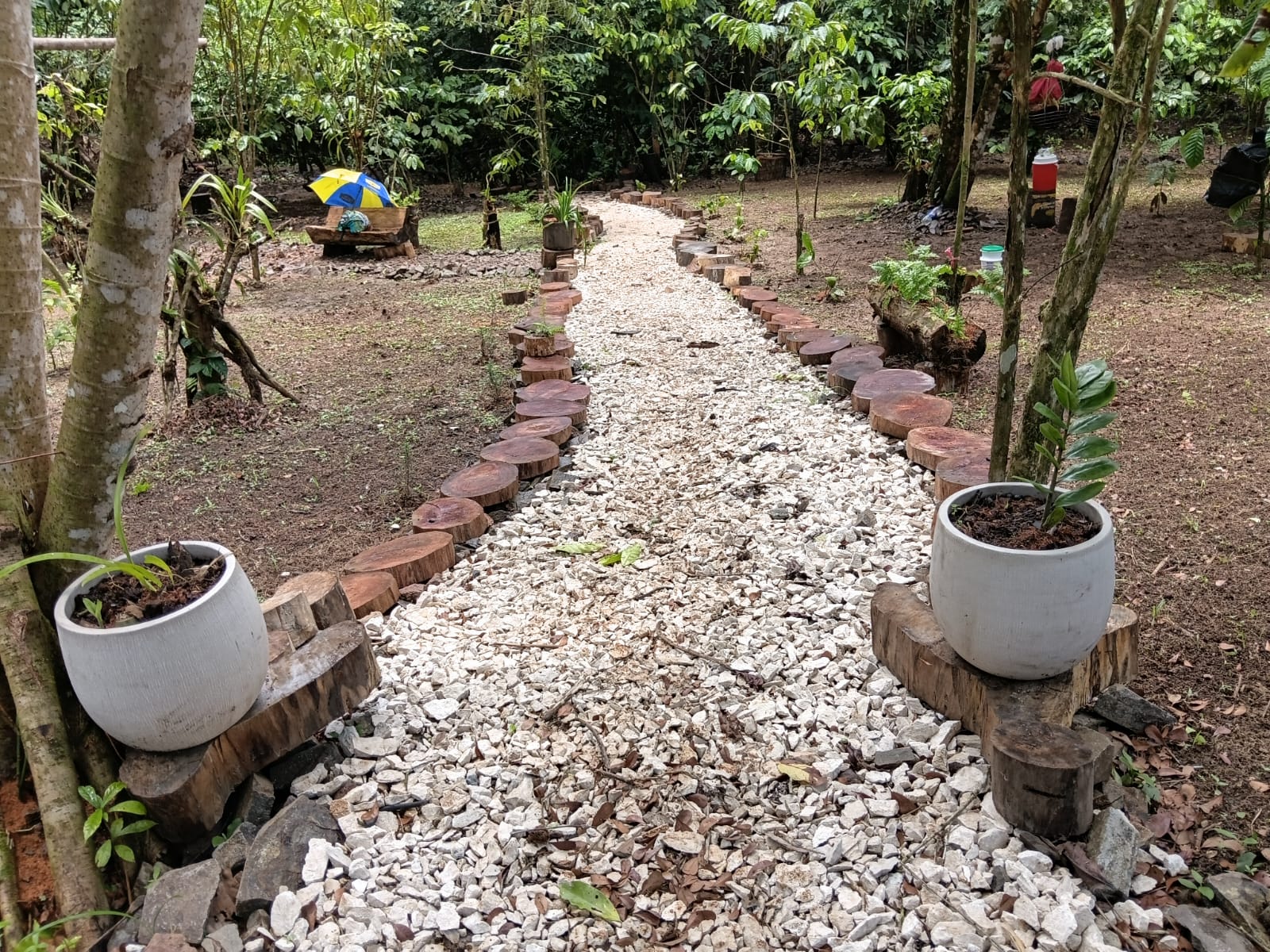 The path through the orchidarium